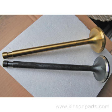 Engine Valves 160A